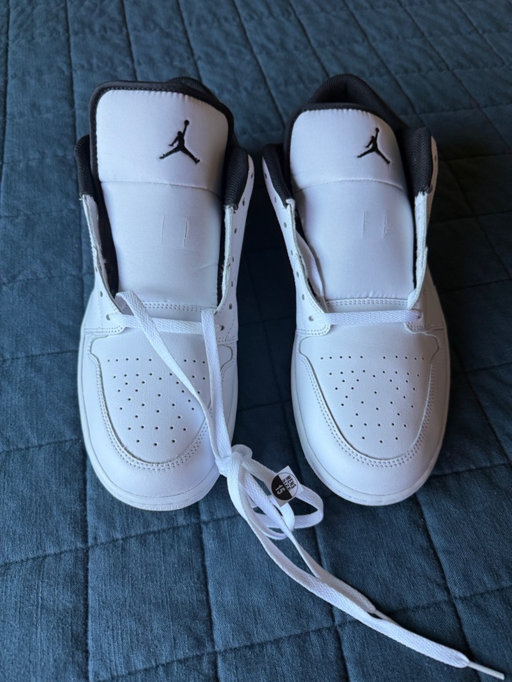 Air Jordan 1 Low Sneakers
